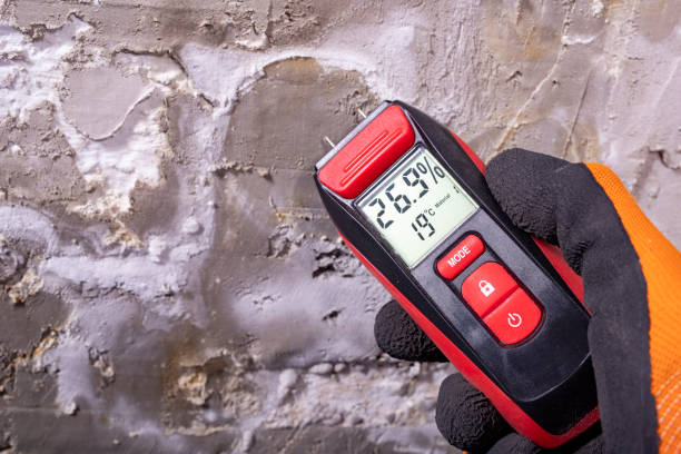 Best Local Mold Removal Service  in Crystal Springs, MS