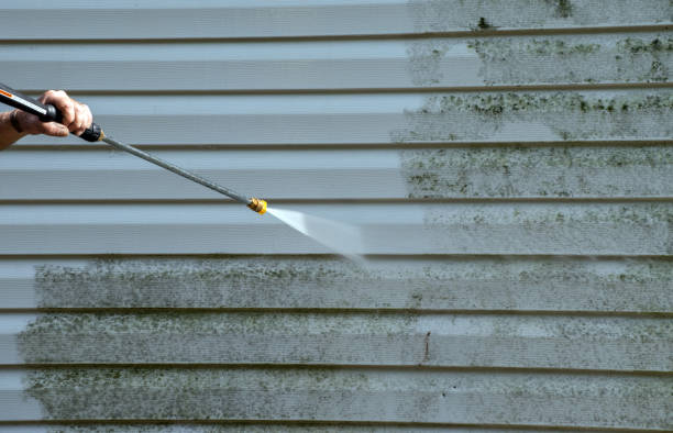 Mold Removal Process in Crystal Springs, MS